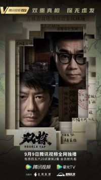 双探