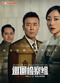 巡回检察组