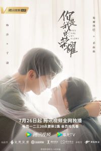 你是我的荣耀
