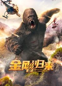 金刚归来2024